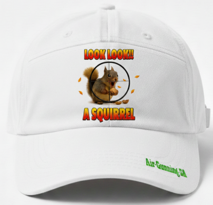 Picture of Look Look a Squirrel