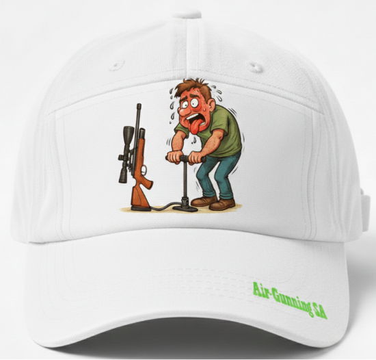 Picture of Pumping Mad