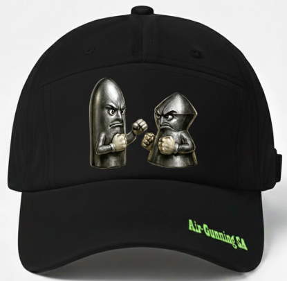 Picture of Slug v Pellet Boxing